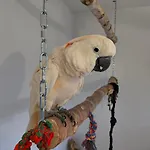 La Girouardiere Bed & Breakfast La Flèche