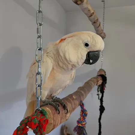 La Girouardiere Bed & Breakfast La Flèche