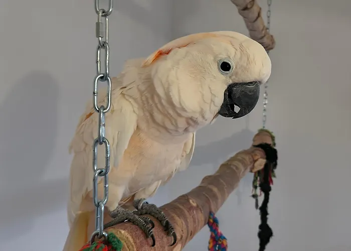 La Girouardiere ベッド・アンド・ブレックファスト La Flèche